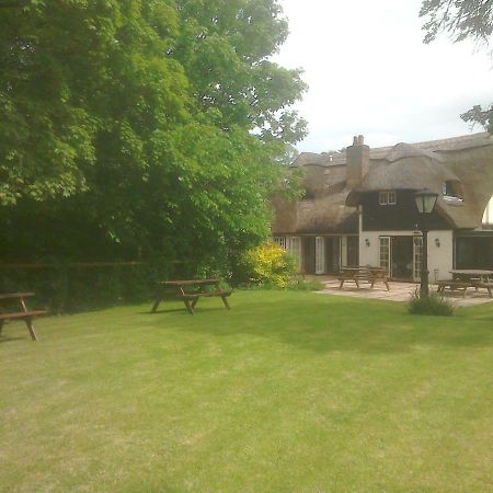 The Crown Inn Alvediston Eksteriør billede