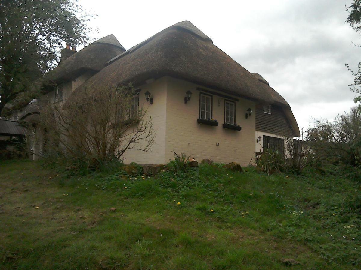 The Crown Inn Alvediston Eksteriør billede