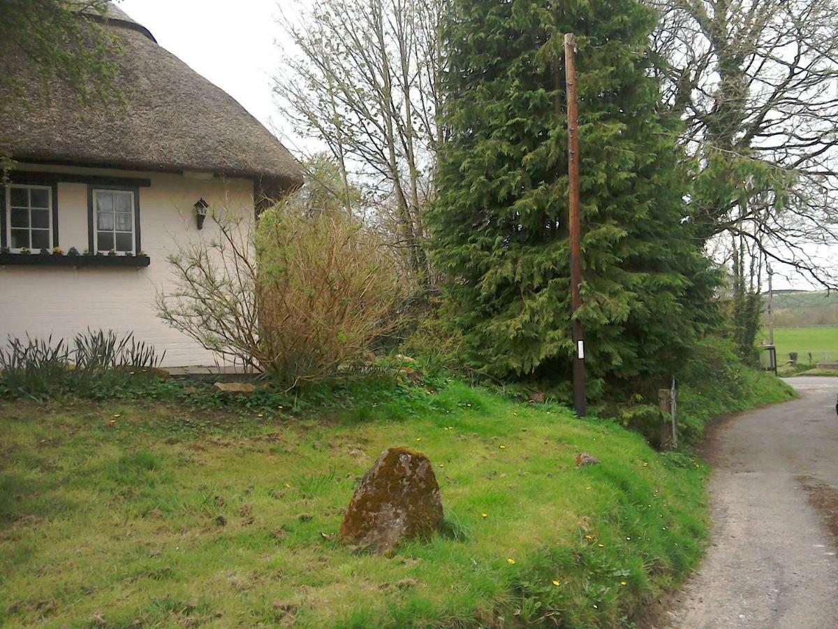 The Crown Inn Alvediston Eksteriør billede