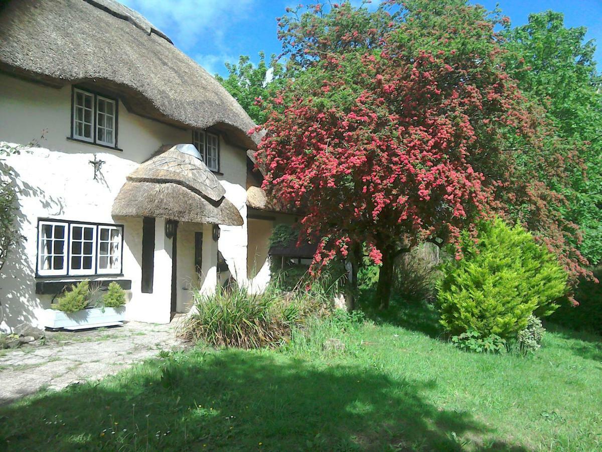 The Crown Inn Alvediston Eksteriør billede
