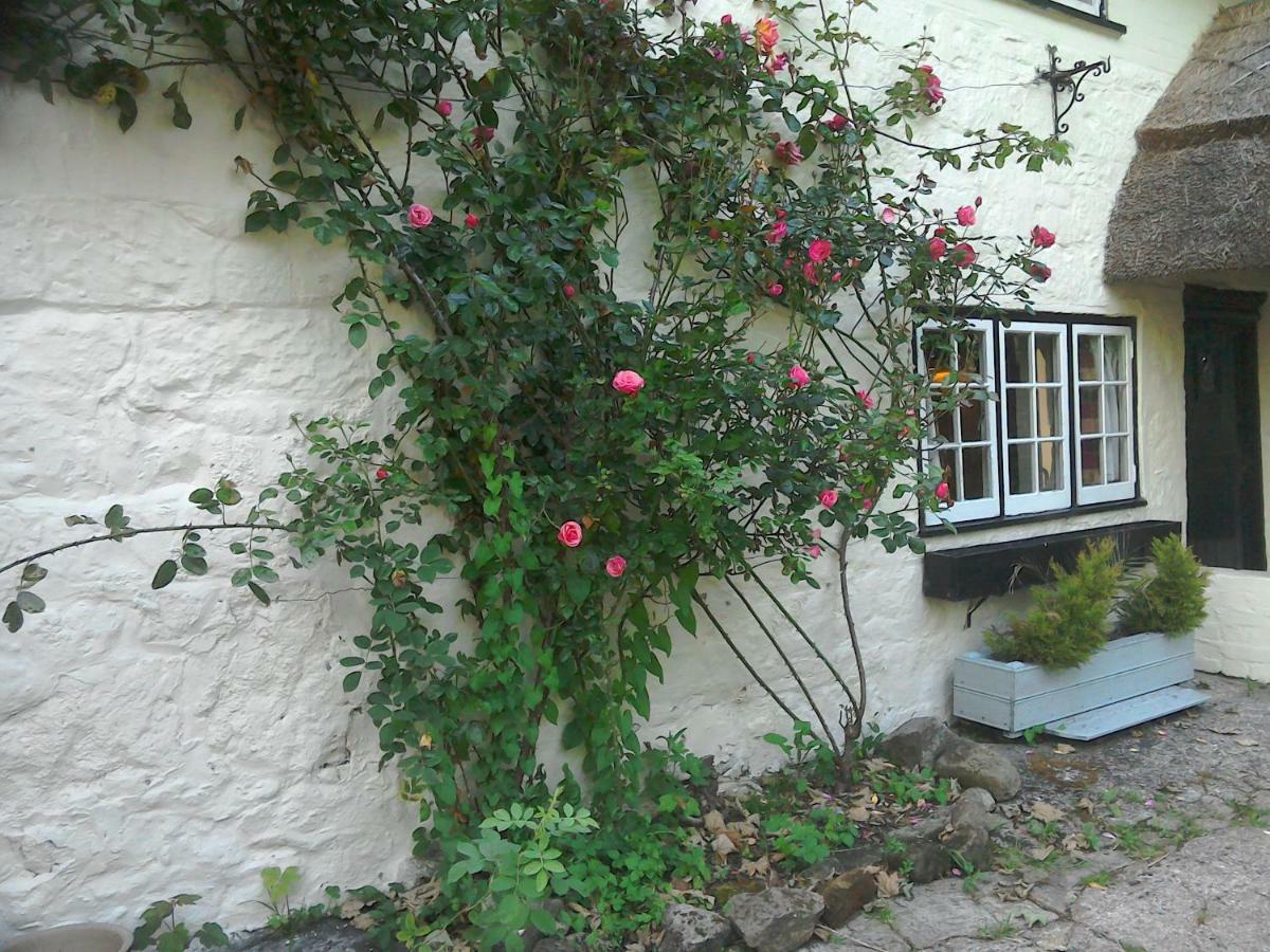 The Crown Inn Alvediston Eksteriør billede