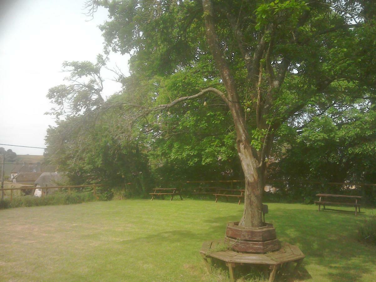 The Crown Inn Alvediston Eksteriør billede