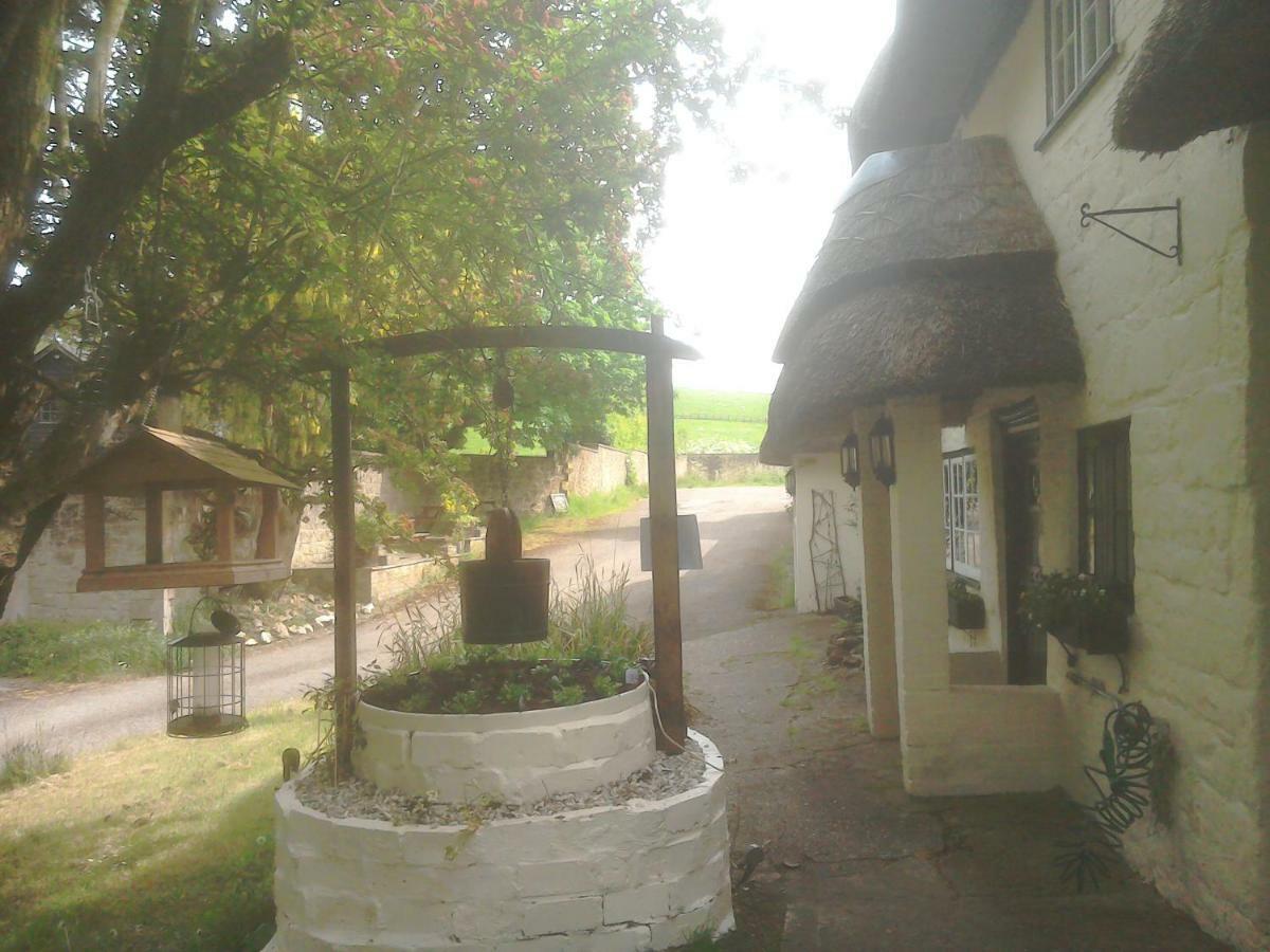 The Crown Inn Alvediston Eksteriør billede