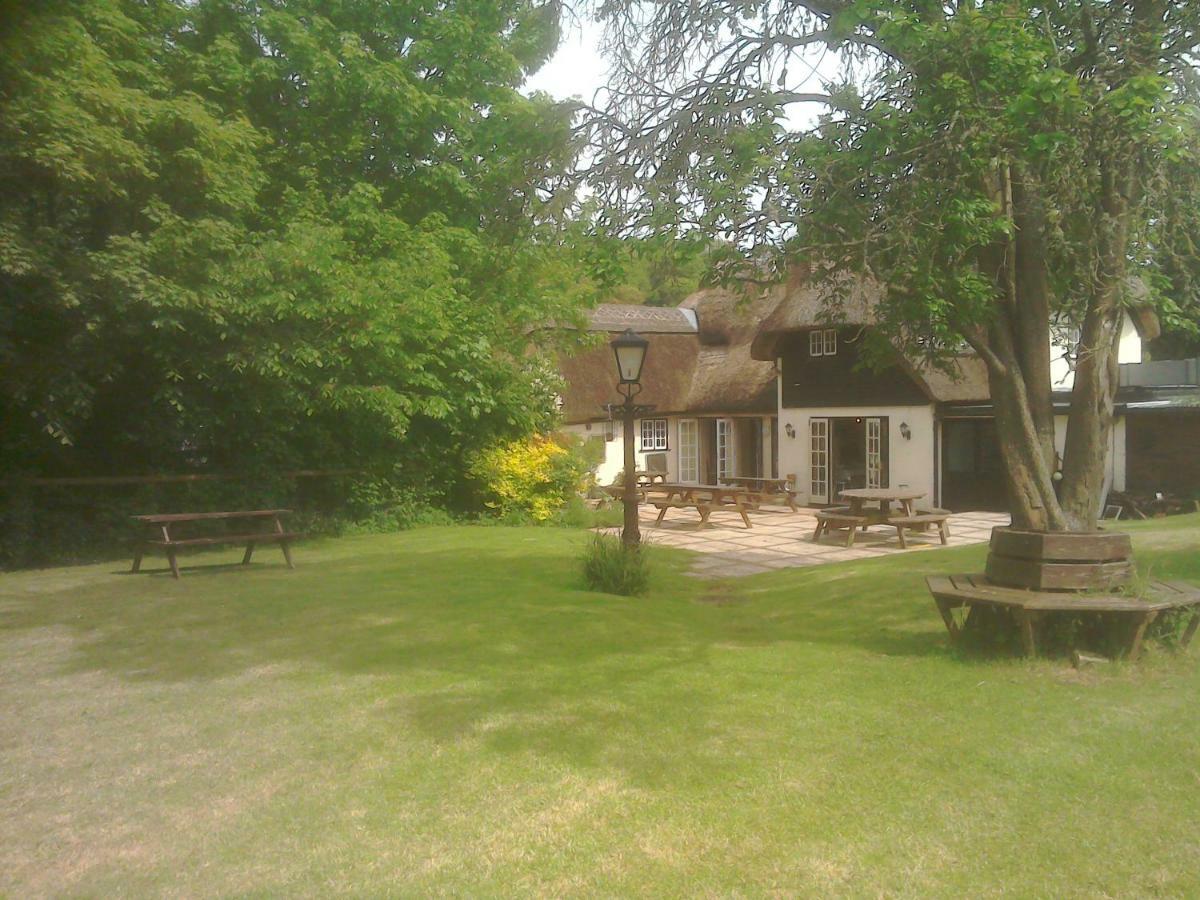 The Crown Inn Alvediston Eksteriør billede