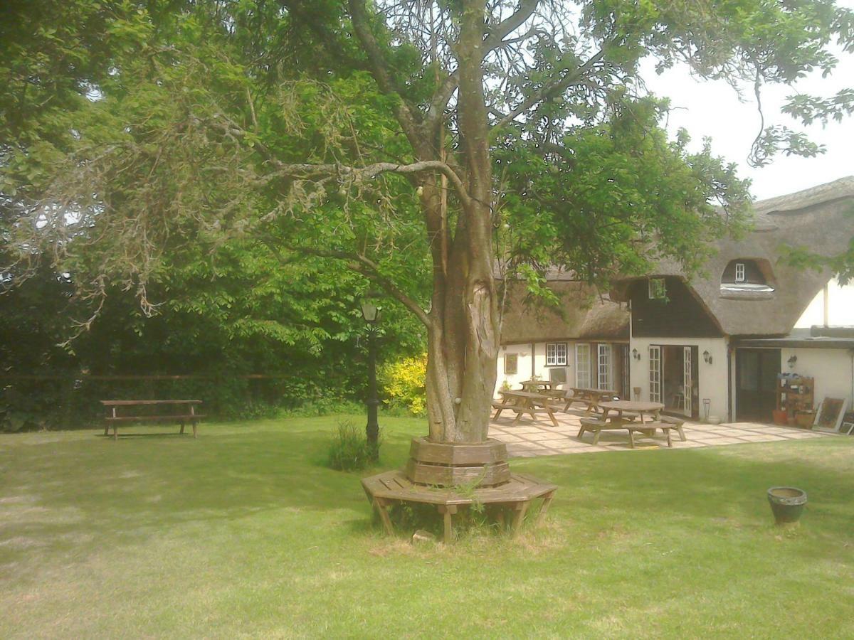 The Crown Inn Alvediston Eksteriør billede